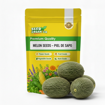Melon Seeds – Piel de Sapo