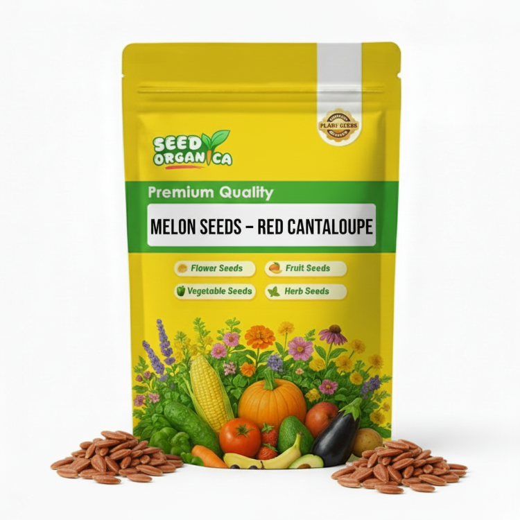 Melon Seeds – Red Cantaloupe
