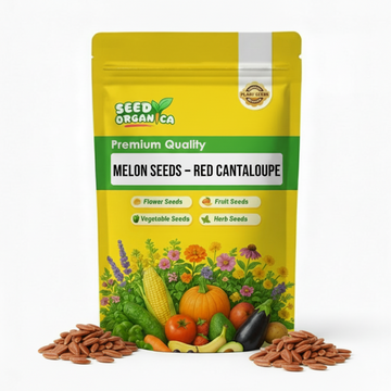 Melon Seeds – Red Cantaloupe