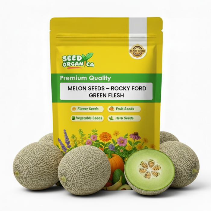 Melon Seeds – Rocky Ford Green Flesh