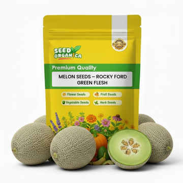 Melon Seeds – Rocky Ford Green Flesh