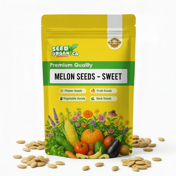 Melon Seeds – Sweet