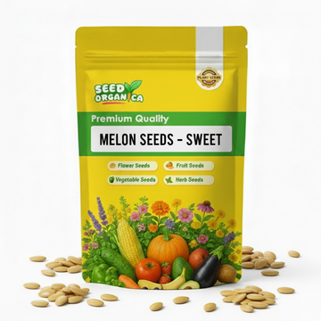 Melon Seeds – Sweet