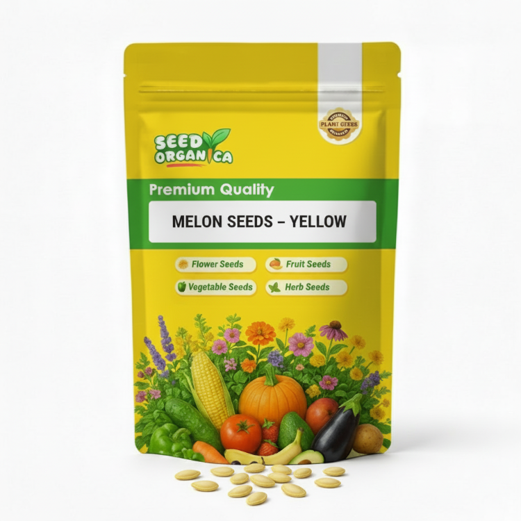 Melon Seeds – Yellow