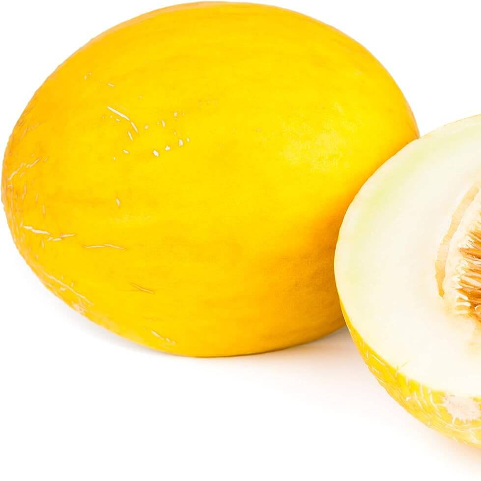 Melon Seeds – Yellow Canary
