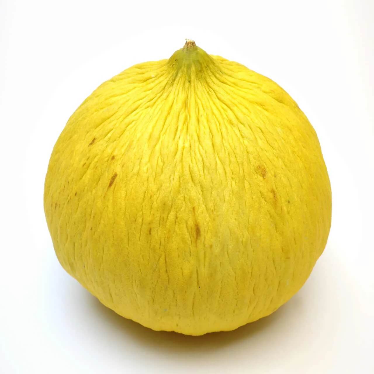 Melon Seeds – Yellow Casaba