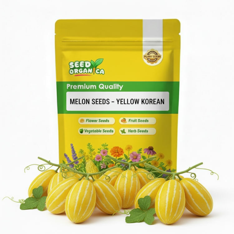 Melon Seeds – Yellow Korean
