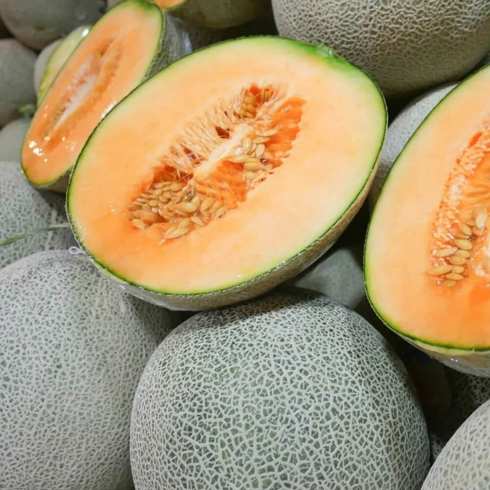 Melon Seeds – Standard Sweet