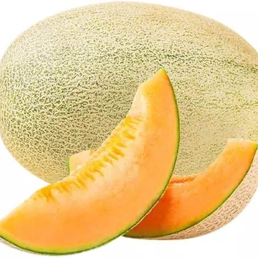 Melon Seeds – Sweet Hami