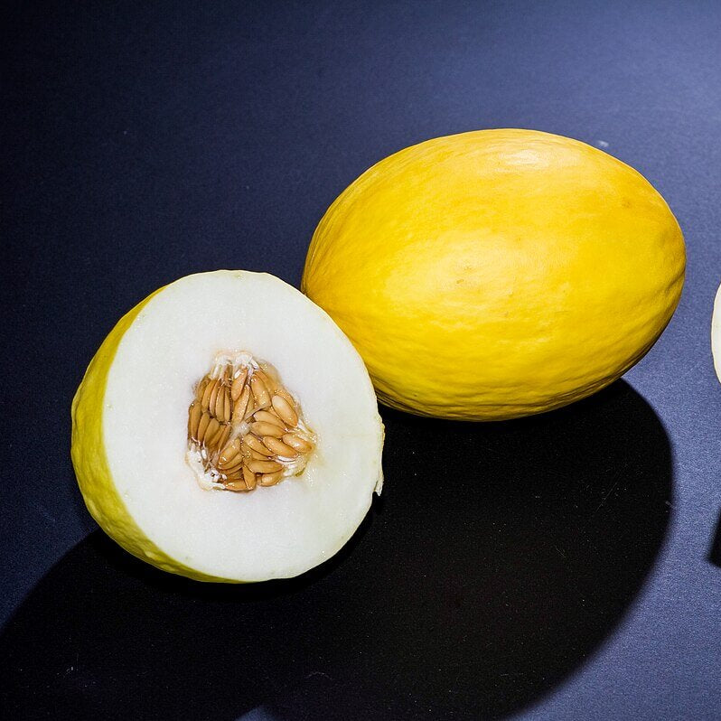 Melon Seeds – White Yellow Cantaloupe