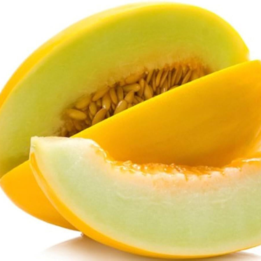 Melon Seeds – Yellow Canary