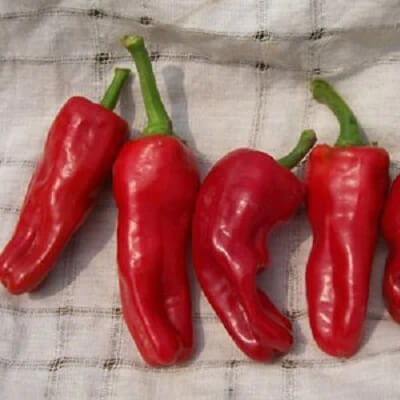 Melrose Pepper Seeds
