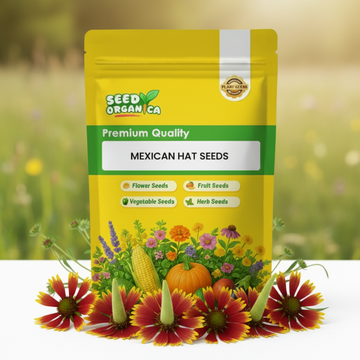Mexican Hat Seeds