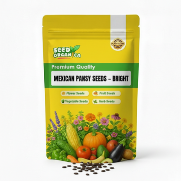 Mexican Pansy Seeds – Bright