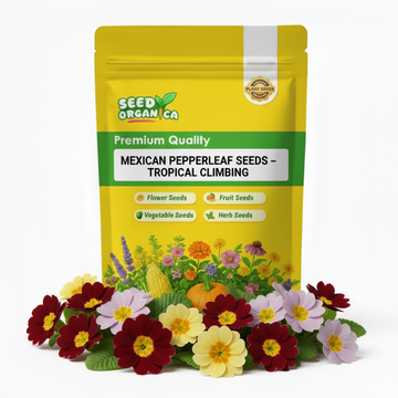 Mexican Pepperleaf Seeds – Tropical Climbing
