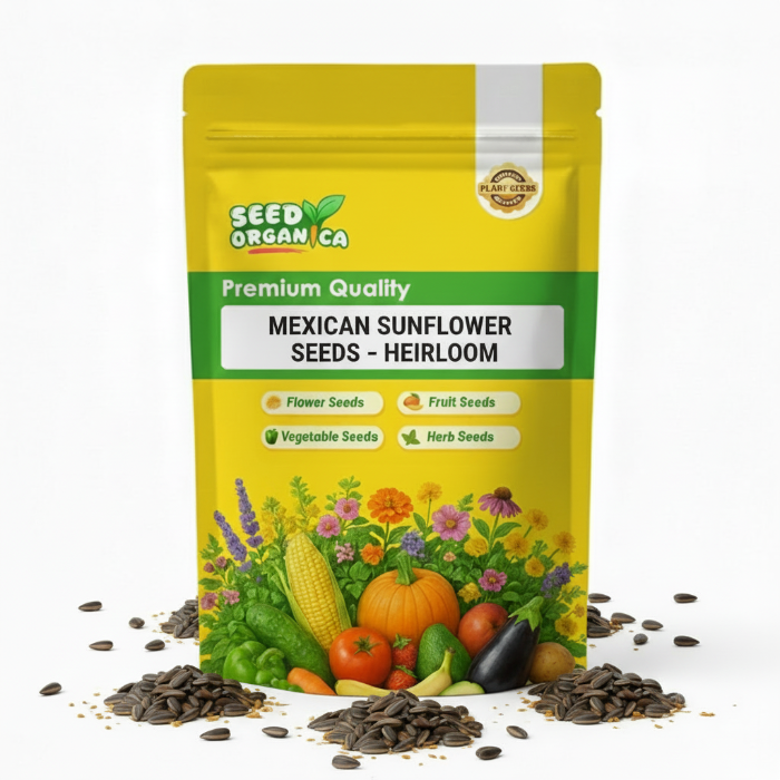 Mexican Sunflower Seeds – Heirloom
