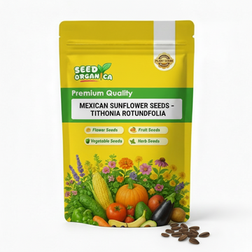 Mexican Sunflower Seeds – Tithonia Rotundifolia