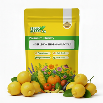 Meyer Lemon  Seeds – Dwarf Citrus