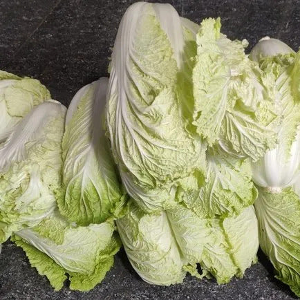 Michihili Cabbage Seeds