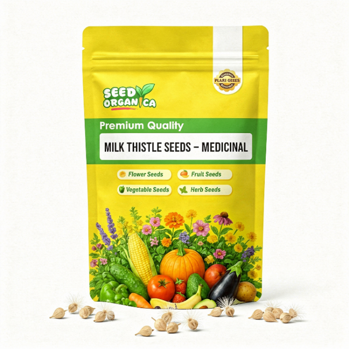 Milk Thistle Seeds – Medicinal