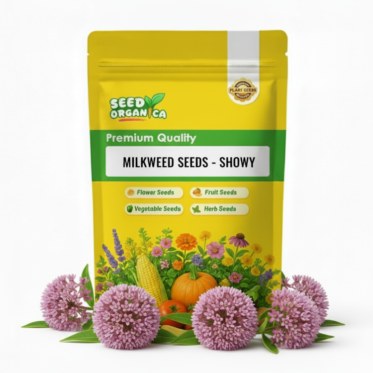 Milkweed Seeds – Showy