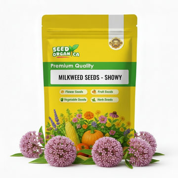 Milkweed Seeds – Showy