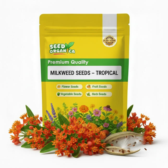 Milkweed Seeds – Tropical