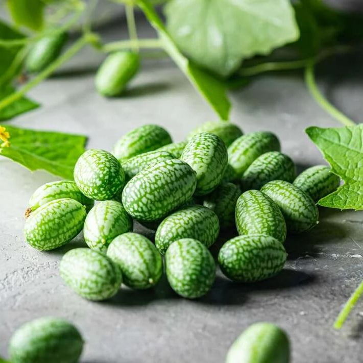 Mini Watermelon Cucumber Seeds