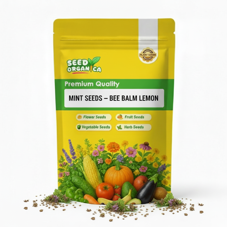 Mint Seeds – Bee Balm Lemon