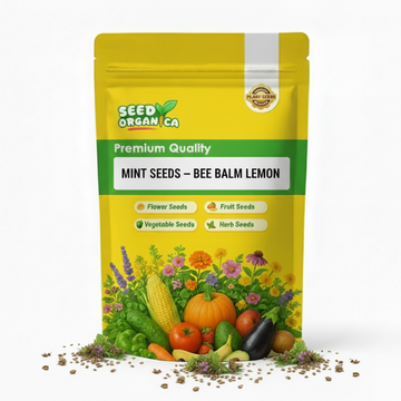 Mint Seeds – Bee Balm Lemon