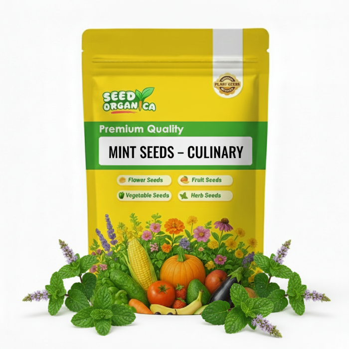 Mint Seeds – Culinary