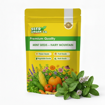 Mint Seeds – Hairy Mountain