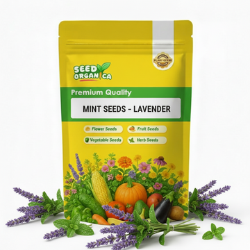 Mint Seeds – Lavender