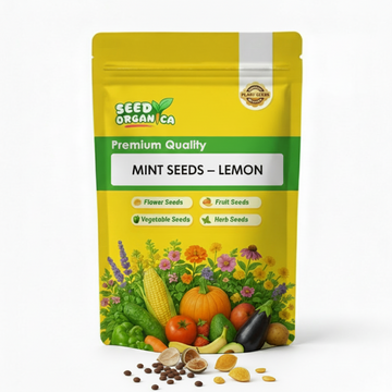Mint Seeds – Lemon