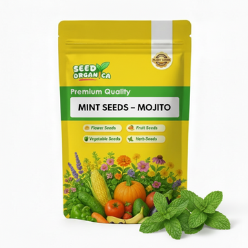 Mint Seeds – Mojito