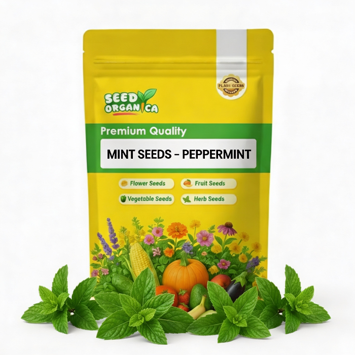 Mint Seeds – Peppermint