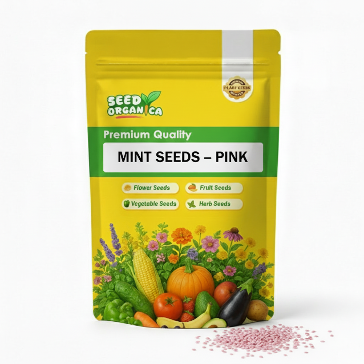 Mint Seeds – Pink