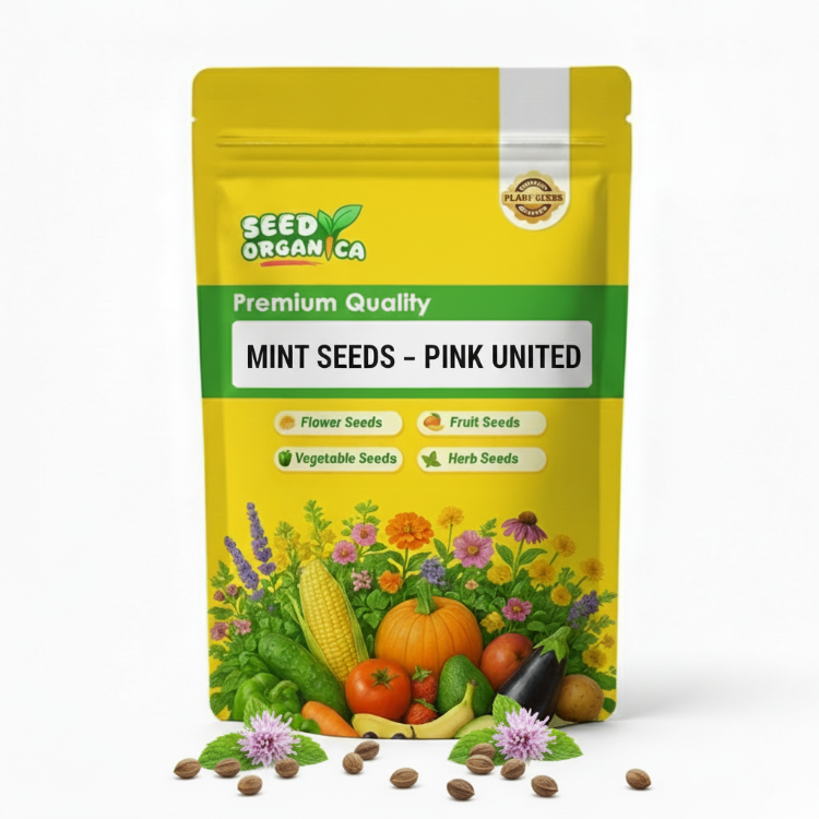 Mint Seeds – Pink United