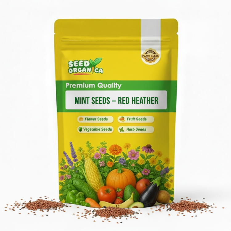Mint Seeds – Red Heather