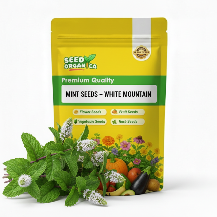 Mint Seeds – White Mountain