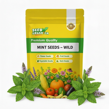 Mint Seeds – Wild