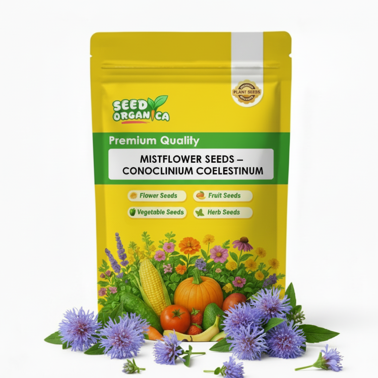 Mistflower Seeds – Conoclinium coelestinum