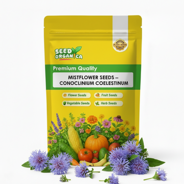 Mistflower Seeds – Conoclinium coelestinum