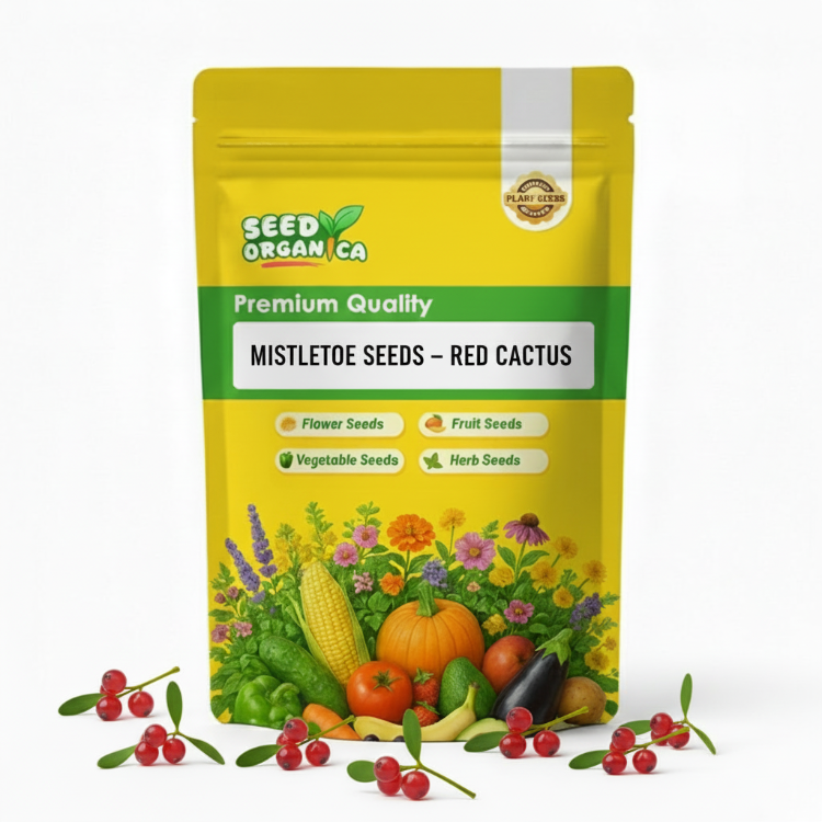 Mistletoe Seeds – Red Cactus