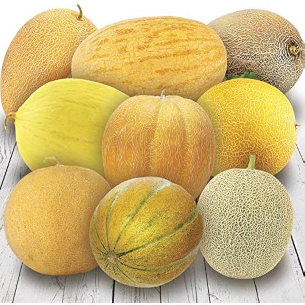 Mixed Cantaloupe Melon Seeds