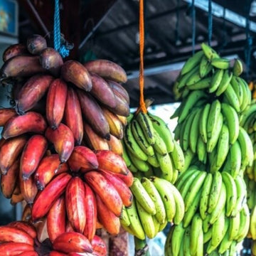 Mixed Colour Banana Seeds