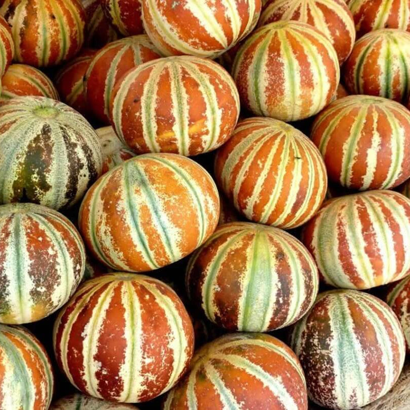 Mixed Kajari Melon Seeds 