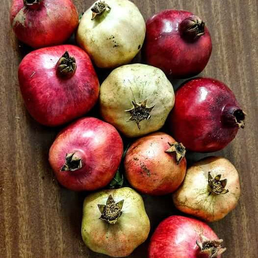 Mixed Pomegranate Seeds 