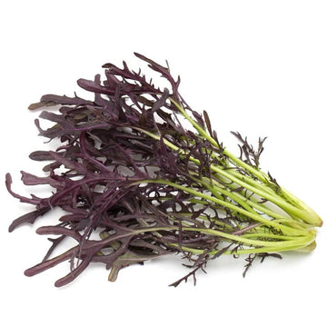 Mizuna Seeds – Lime Streaks