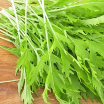 Mizuna Seeds – Green 